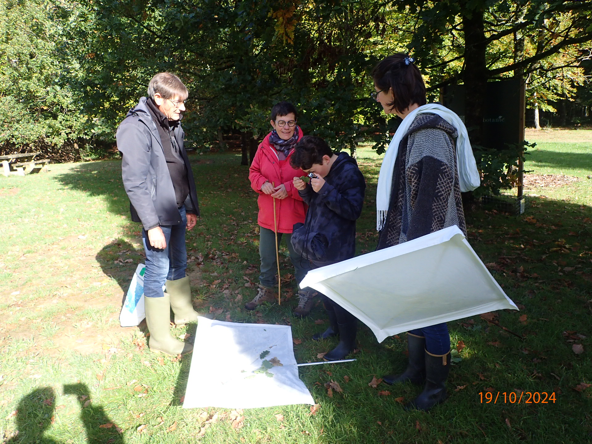 Inventaire botanique et entomologique Maison de la Forêt à Montfiquet, 19 octobre 2024